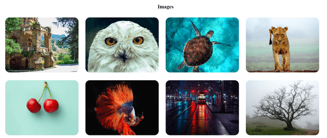 imageShow